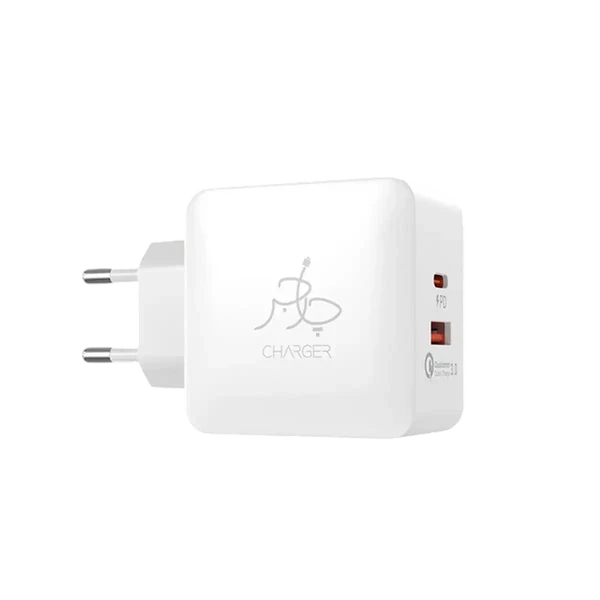 Blaze 25W PD Charger (with C to C cable)