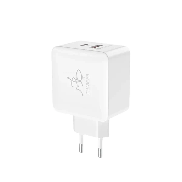 Blaze 25W PD Charger (with C to C cable)