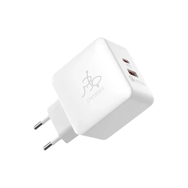 Blaze 25W PD Charger (with C to C cable)