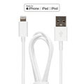 Apple USB To Lightening Cable