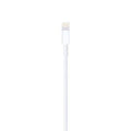 Apple Lightning to USB Cable