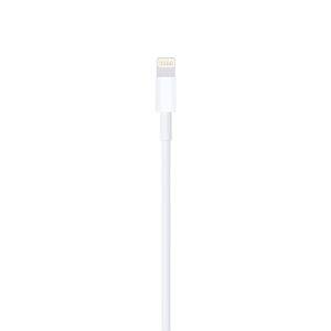 Apple Lightning to USB Cable