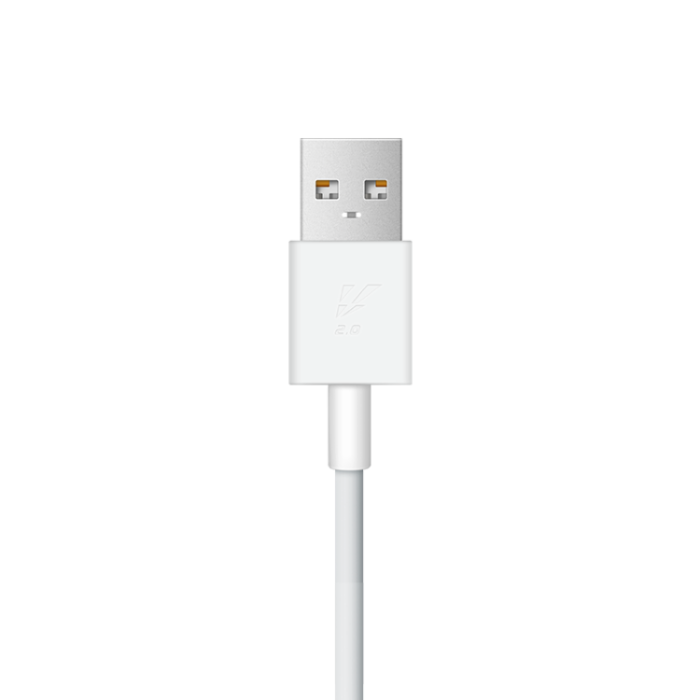 vivo Original Type USB to C 33w